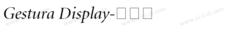 Gestura Display字体转换